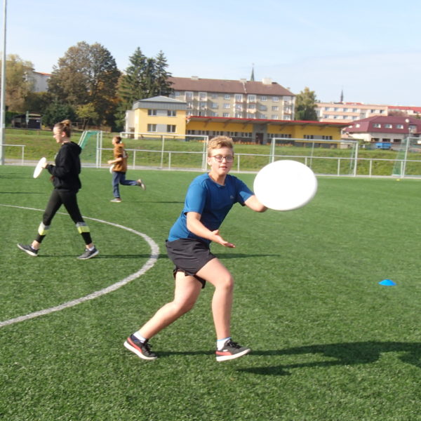 Frisbee ultimate (7)