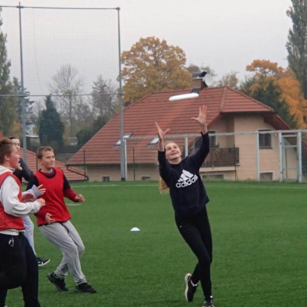 Frisbee ultimate (5)