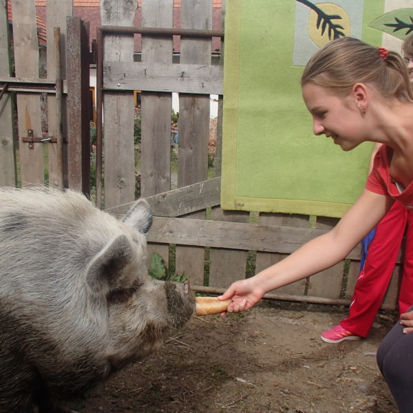 Adaptační kurz 6. A v Chaloupkách (4)