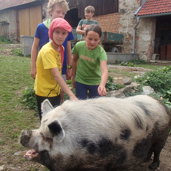 Adaptační kurz 6. A v Chaloupkách (3)