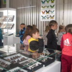 Muzeum motýlů