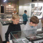 Muzeum motýlů